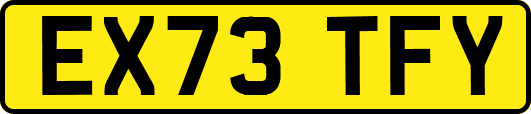 EX73TFY