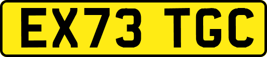 EX73TGC
