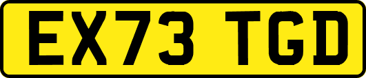 EX73TGD