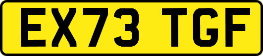 EX73TGF