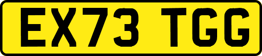 EX73TGG
