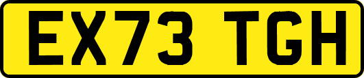 EX73TGH