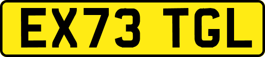 EX73TGL