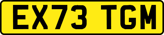 EX73TGM