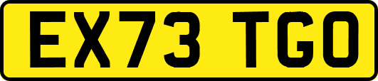EX73TGO