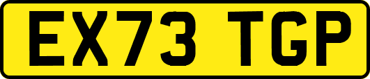 EX73TGP
