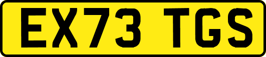 EX73TGS