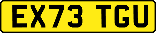 EX73TGU