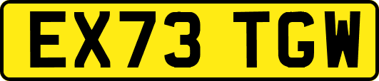 EX73TGW
