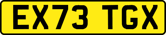 EX73TGX