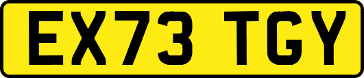 EX73TGY