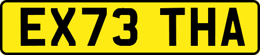 EX73THA