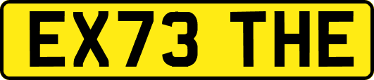 EX73THE