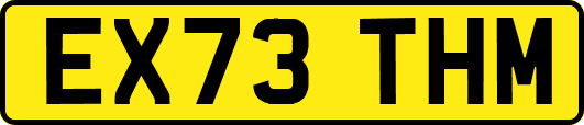 EX73THM