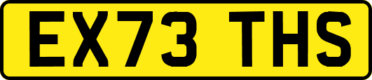 EX73THS