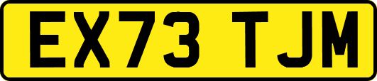 EX73TJM