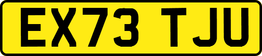 EX73TJU