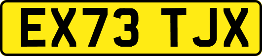 EX73TJX