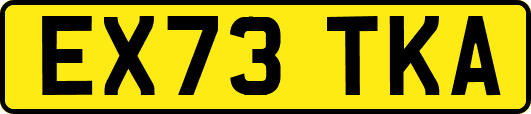 EX73TKA