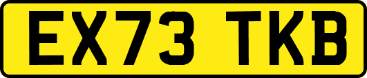EX73TKB