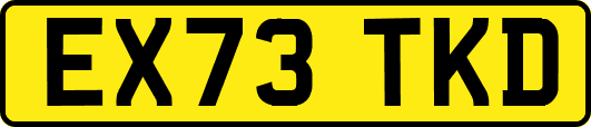 EX73TKD
