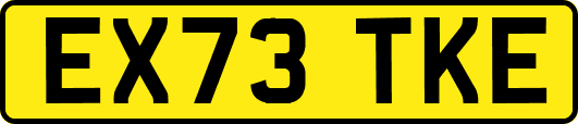 EX73TKE