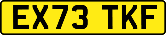 EX73TKF