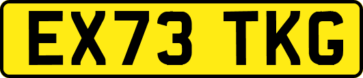 EX73TKG