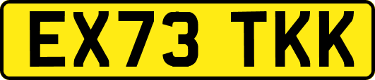 EX73TKK