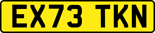 EX73TKN