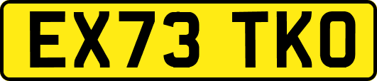 EX73TKO
