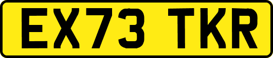 EX73TKR