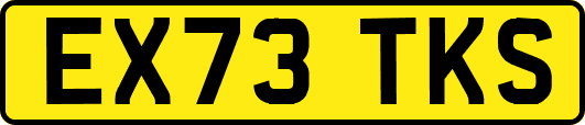 EX73TKS