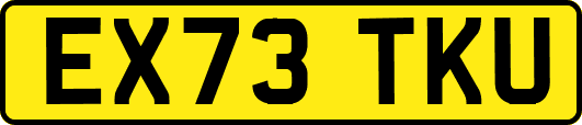 EX73TKU