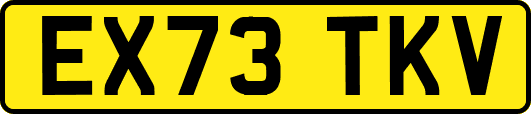 EX73TKV