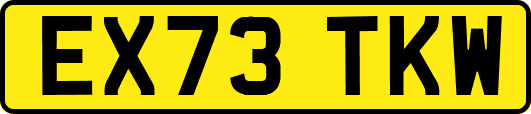EX73TKW