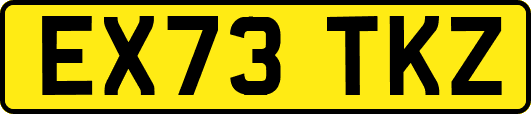 EX73TKZ