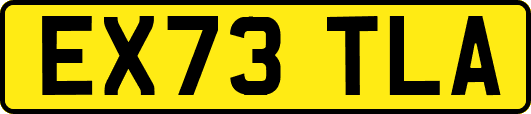 EX73TLA