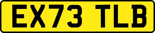 EX73TLB