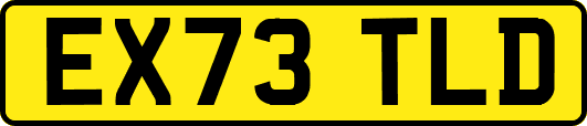 EX73TLD