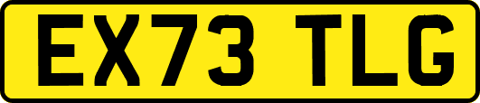 EX73TLG