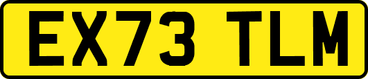EX73TLM