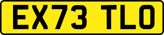 EX73TLO