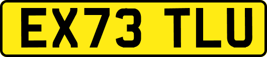 EX73TLU