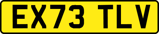 EX73TLV