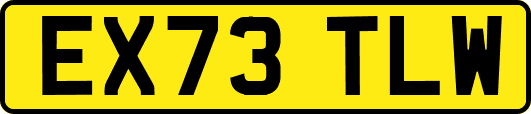 EX73TLW