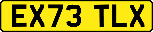 EX73TLX