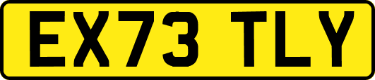 EX73TLY