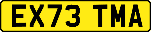 EX73TMA