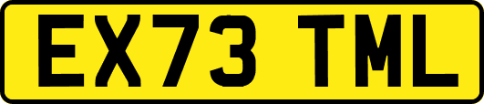 EX73TML